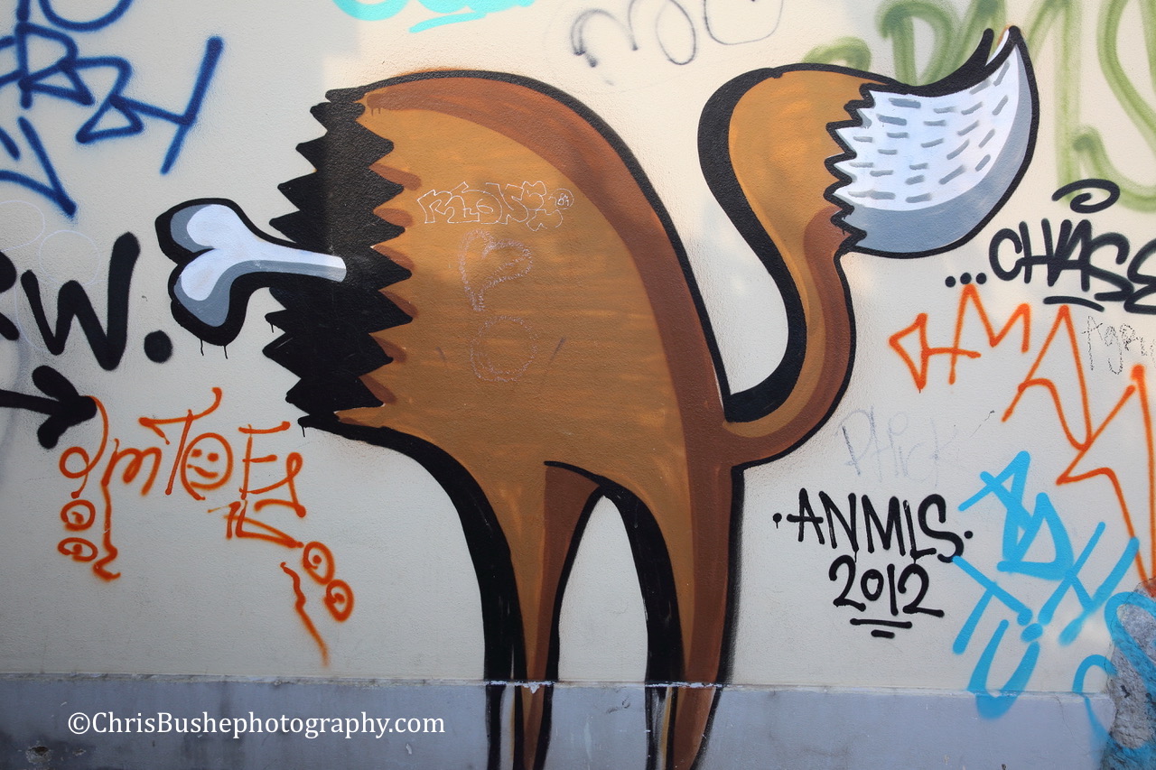 Ljubljana street art