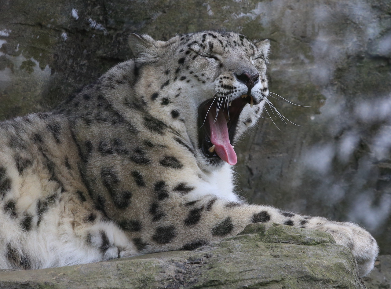 image_77d4fef4-2b66-418c-b6f3-c59222492af0.1k4a2027